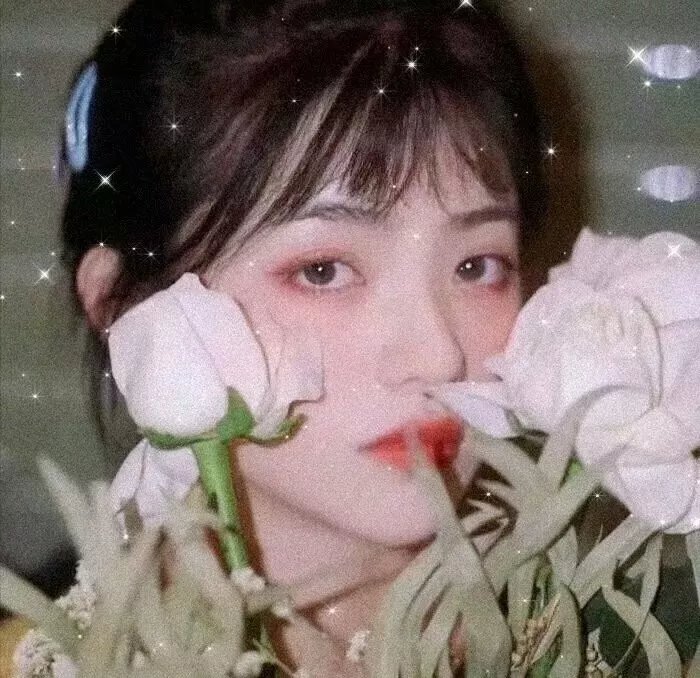 卡门回家